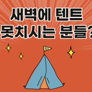 새벽에 텐트 치고 싶은 분 손들어 보세요?