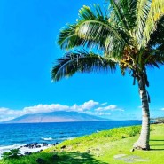 메리어트베케이션 MVC, 마우이 오션 클럽 라하이나 Maui Ocean Club Lahaina 추천 Listing입니다.