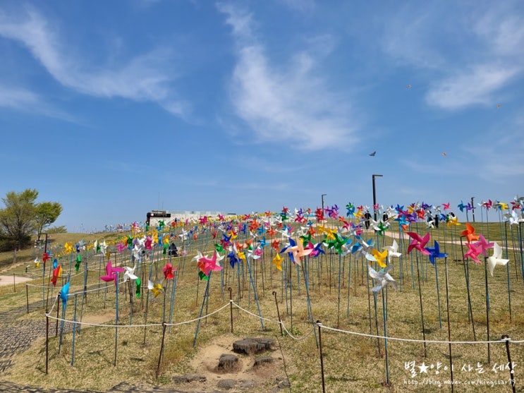 파주 임진각 평화누리캠핑장은 언제나 옳다!!