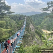 [원주여행] 꼭 한번은 가봐야할 소금산 출렁다리 (+간현돈까스)