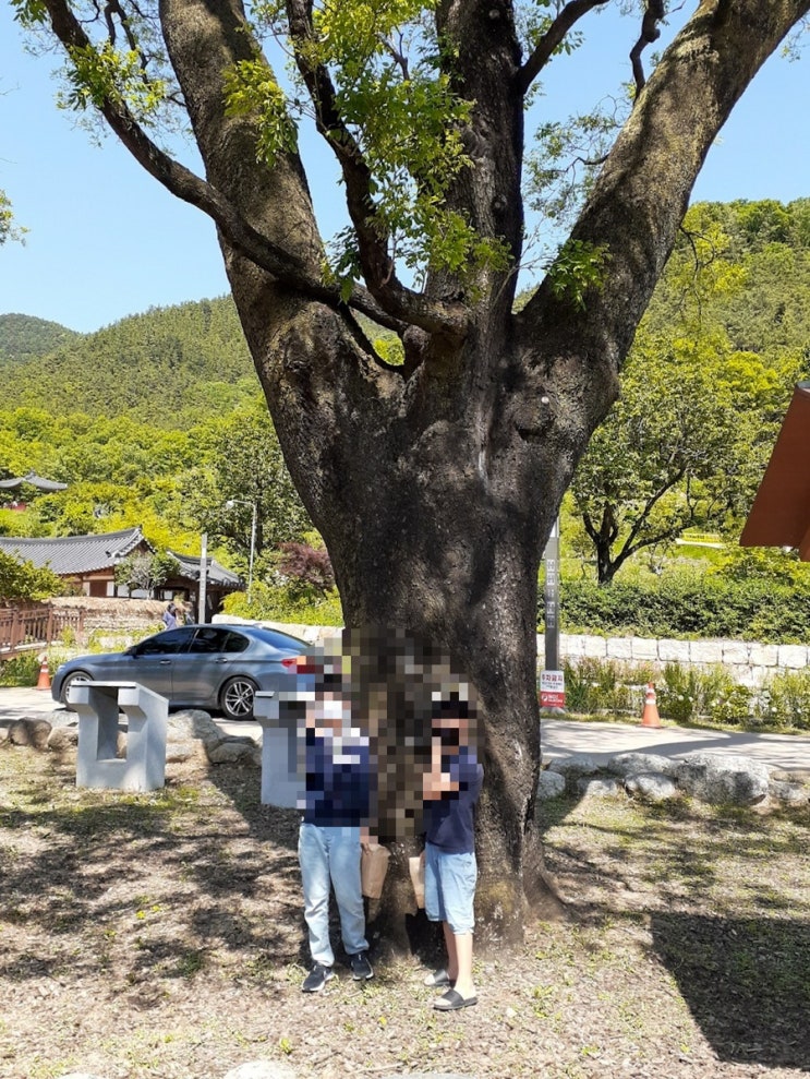 대구 한옥마을인 옻골마을(경주최씨종가)