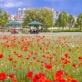 울산 - 태화강국가정원 봄꽃축제
