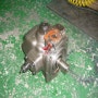 굴삭기 유압 펌프 수리 비커스 VVP2-40-SRFRM-30-CBK-10 정비 작업