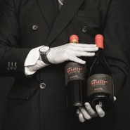 타이거인터내셔날, 칠레 바이오다이나믹 와인 명장 '비냐 코일레'의 아이콘 '체로 바살토' 2종 와인 출시