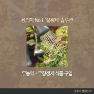 [꿀벌 실종사건] 솔루션1. 무농약•무항생제 식품 구입