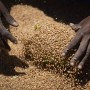 기후변화와 식량 부족의 고리를 끊을 수 있는 방법은?