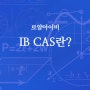 [압구정,강남 IB/AP 학원/로얄아이비] IB CAS란? 최종 합격 전략 필수 요소 소개