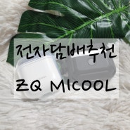 에어팟프로를 닮은 휴대하기 좋은 전자담배추천 "ZQ MICOOL"