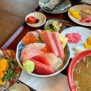 [강릉 맛집] 메시56 : 초당동 일본식 회덮밥 카이센동 맛집