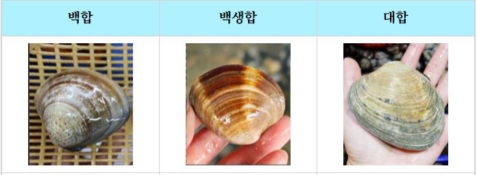 백합 vs 백생합 vs 대합 (feat. 조개 잘 굽는법) : 네이버 블로그