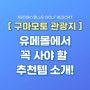 [구마모토관광] 유메몰 쇼핑 리스트! 일본가면 꼭 사야할 것