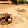 [월드비전 기후변화 대응사업] 전 세계 가뭄 위기! 케냐의 건조한 산림복원🌲을 위한 세 가지 핵심 솔루션은?
