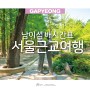 주말에 뭐하지? 서울 근교 여행 가평/춘천 남이섬여행 배시간표 포함