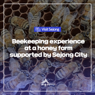 Beekeeping experience at a honey farm supported by Sejong City