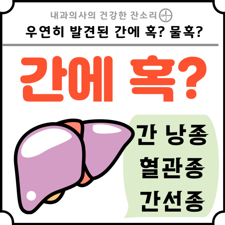 간에 생기는 의혹들 : 간에 물혹 간낭종 혈관종 간선종 : 네이버 블로그