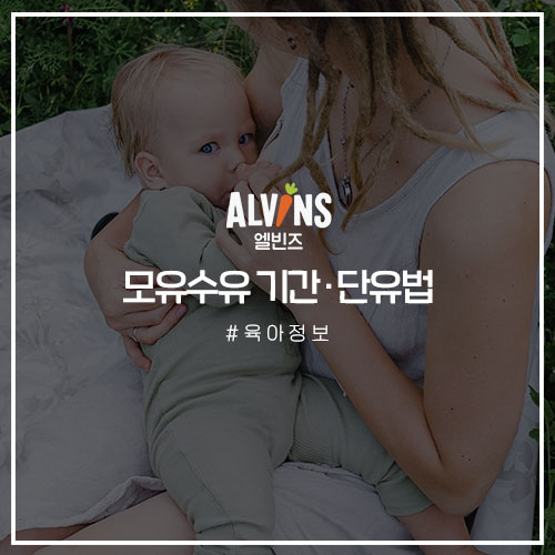 모유수유 언제까지 해야할까? 모유수유 기간과 단유하는법 모유 장점 모유수유에 좋은 음식 알아봐요