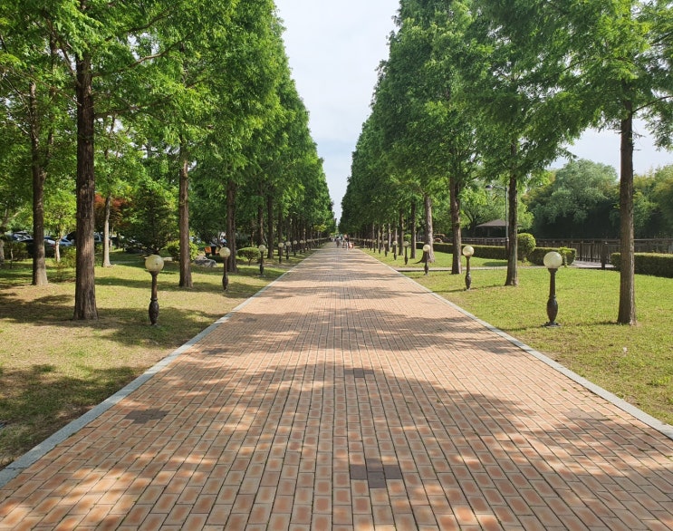 진주 초전공원 피크닉 즐기기엔 안성맞춤