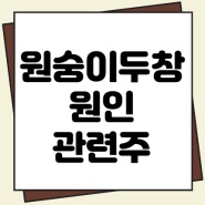 원숭이두창 관련주, 원숭이두창 원인 완벽정리