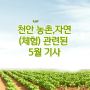 천안 농촌,자연(체험) 관련된 5월 기사