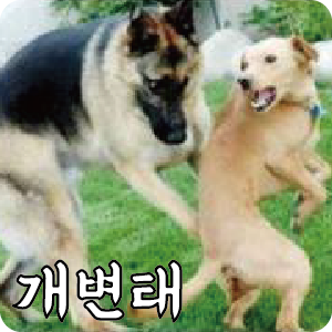 자작 동물 이모티콘 짤 시리즈 (개/강아지) : 네이버 블로그