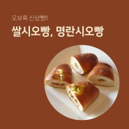 성북동 오보록 신상 빵 (쌀시오빵, 명란 시오빵 - 소금빵) 소개!