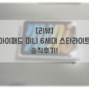 [리뷰] 아이패드미니 6세대 스타라이트 솔직후기!