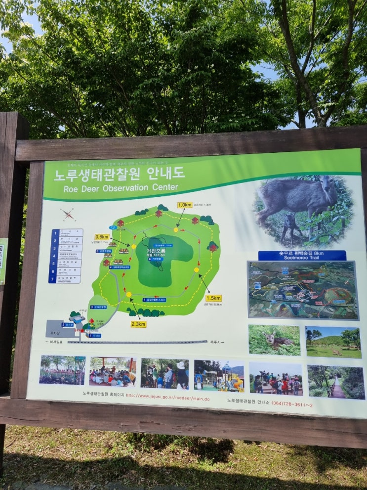 노루생태관찰원, 어린이교통공원, 제주절물자연휴양림