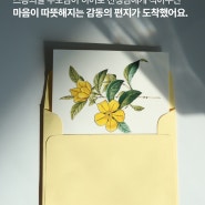 [스승의 날 행사] 돌봄 선생님에게 마음을 표현해보세요!