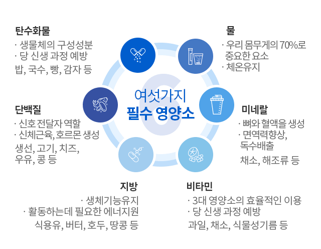필수 영양소 제대로 알기 : 네이버 블로그