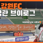 K리그 첫 직관 브이로그::강원FC vs FC서울!