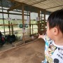 찬우물 아기동물원, 일산 아이랑 체험 동물농장