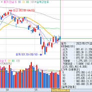 2022-05-27(금)오늘의 상한가 하한가