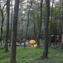 제주도 캠핑장 제주 붉은 오름 자연 휴양림 숲속야영장 혼자 캠핑
