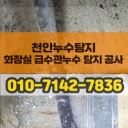 천안 화장실 누수 수도배관 미세누수 공사_백석동_쌍용동