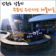 강릉 주문진 해물마을 수산시장~~ 방문 포장 후기