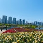 자전거로 떠나는 인천여행::청라 호수 공원. 월미도. 송월동 동화마을.