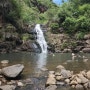 [하와이여행] 와이메아 폭포(Waimea Falls)에 몸을 담구다!!