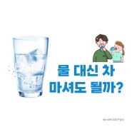 물 대신 마시기 좋은 차 (종류,부작용)