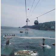 부산여행 송도해상케이블카 그리고 광장 송도해상케이블카 할인