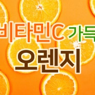 6월 제철과일 비타민C 가득 오렌지 보관방법