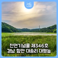 천연기념물 제346호 경남 늪지 함안 대송리 대평늪