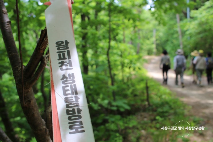 울진여행 왕피천트레킹 승우여행사 1박 2일 Day1