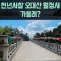 평창여행 천년사찰 오대산 월정사 가볼래? feat. 평창 가볼만한곳, 강원도여행, 전나무숲길 산책