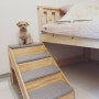 내돈내산, 강아지 원목 계단 높은 침대에 딱인 오모펫 후기!