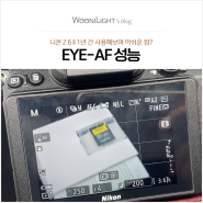 니콘 Z 6 II 약 1년 간 사용해보며 아쉬운 점은 EYE-AF