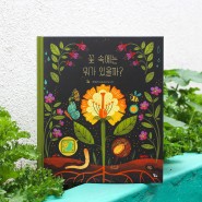 자연관찰책, 아름다운 꽃 그림책 <꽃 속에는 뭐가 있을까?>