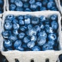 이 과일 먹으면 눈 좋아지고 치매도 예방! - 슈퍼푸드 '블루베리'의 효능과 섭취법