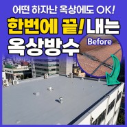 옥상 시트방수 전문 시공업체 이파엘지, '서울 강북구청 옥상방수' 시공사례