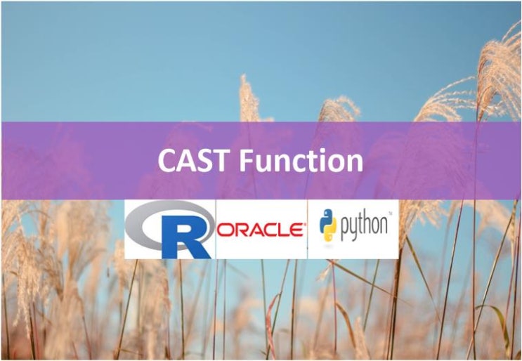 CAST Oracle Function [Oracle, Pandas, R Prog, Dplyr, Sqldf, Pandasql ...