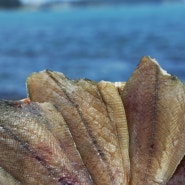 동해안 반건조 생선 참 가자미 (손질방법, 굽는법, 조림)
